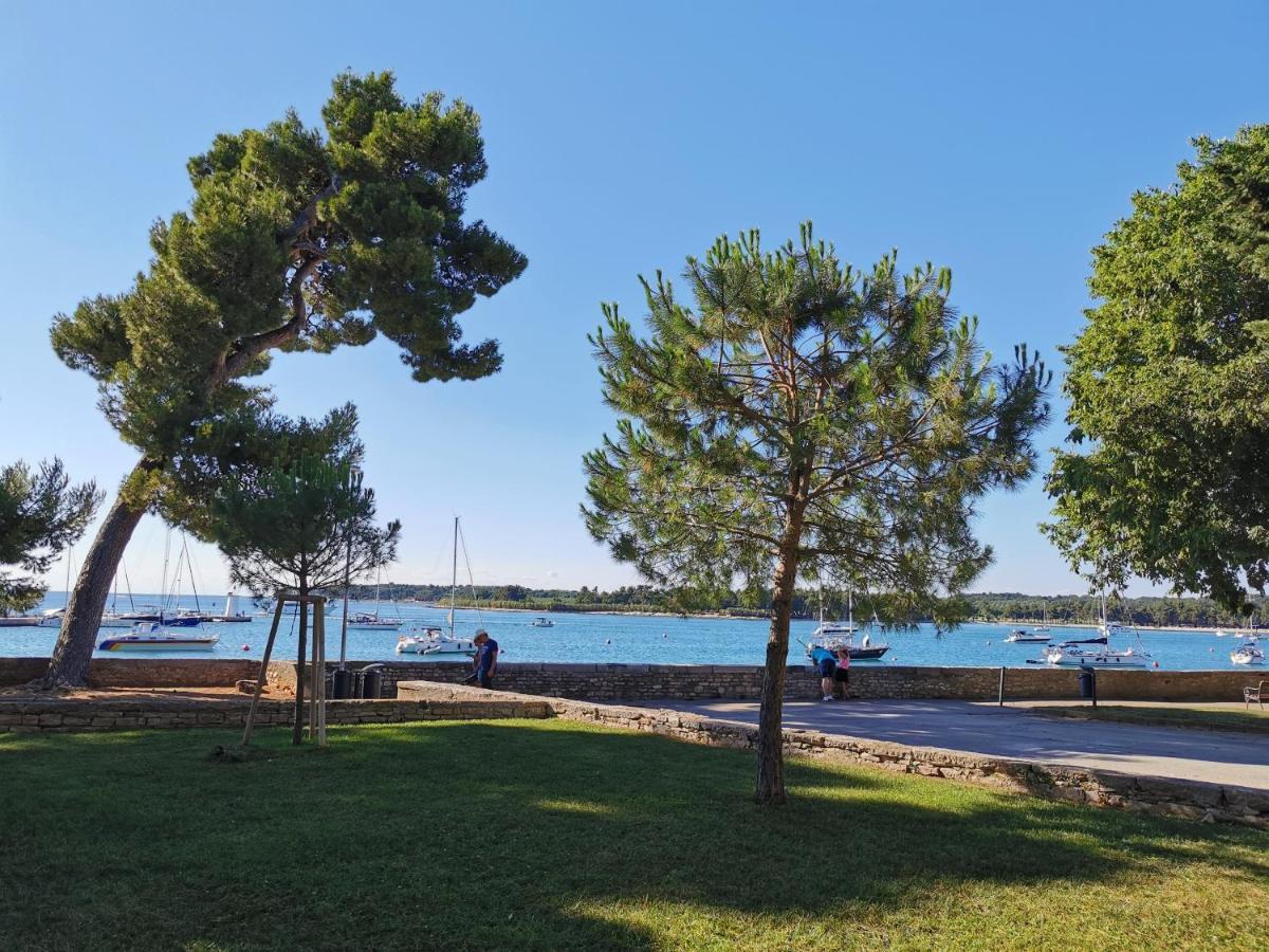 Novigrad Istria Ivan B&B, 5 Star Superior Room, Near The See And Park מראה חיצוני תמונה