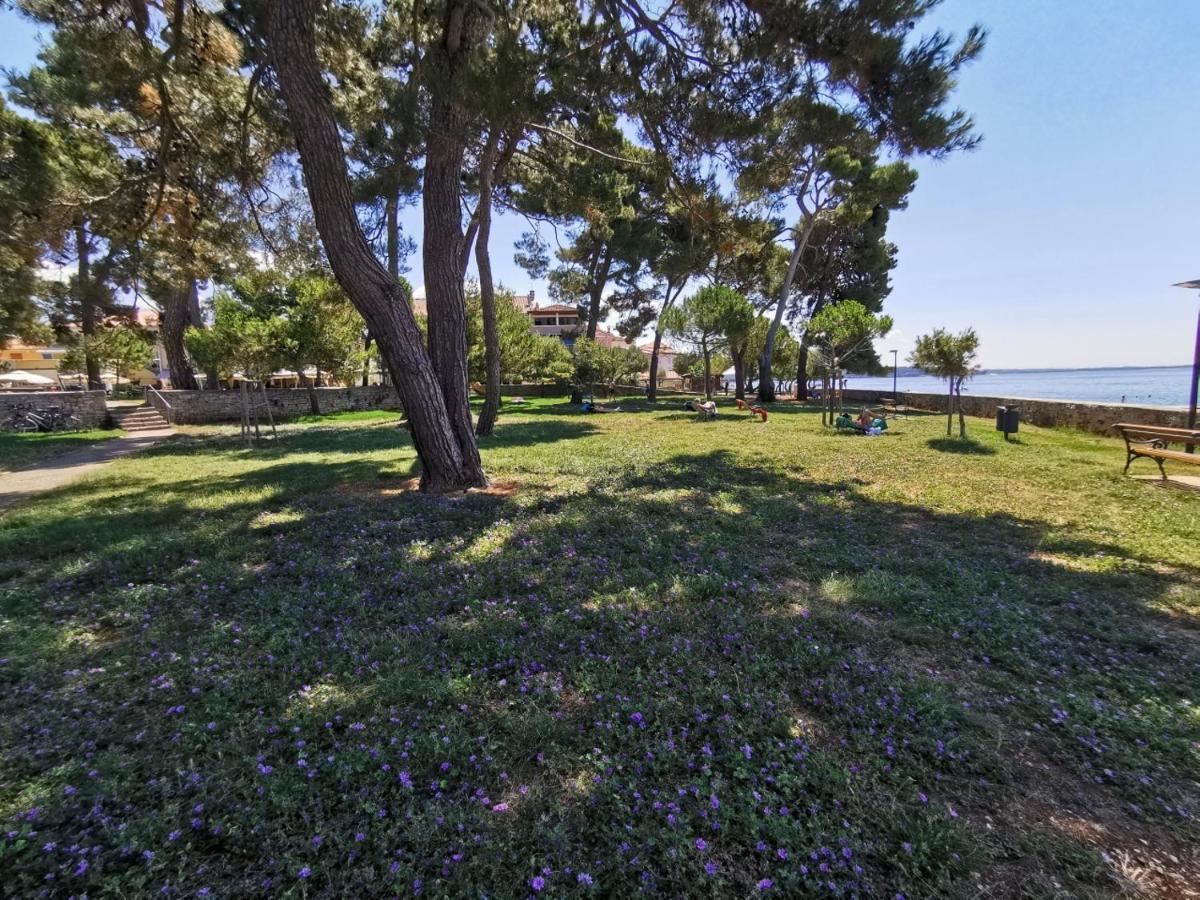 Novigrad Istria Ivan B&B, 5 Star Superior Room, Near The See And Park מראה חיצוני תמונה
