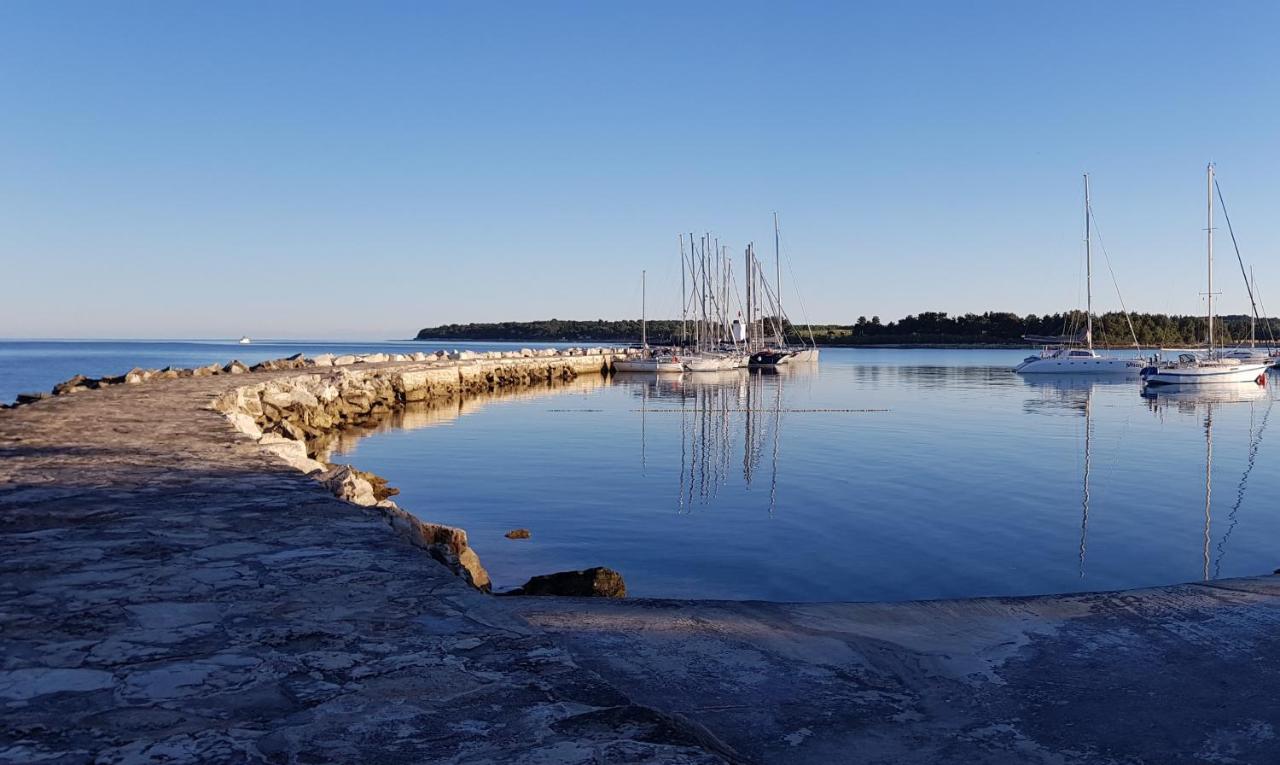 Novigrad Istria Ivan B&B, 5 Star Superior Room, Near The See And Park מראה חיצוני תמונה
