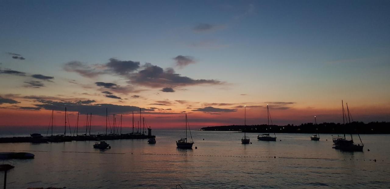 Novigrad Istria Ivan B&B, 5 Star Superior Room, Near The See And Park מראה חיצוני תמונה