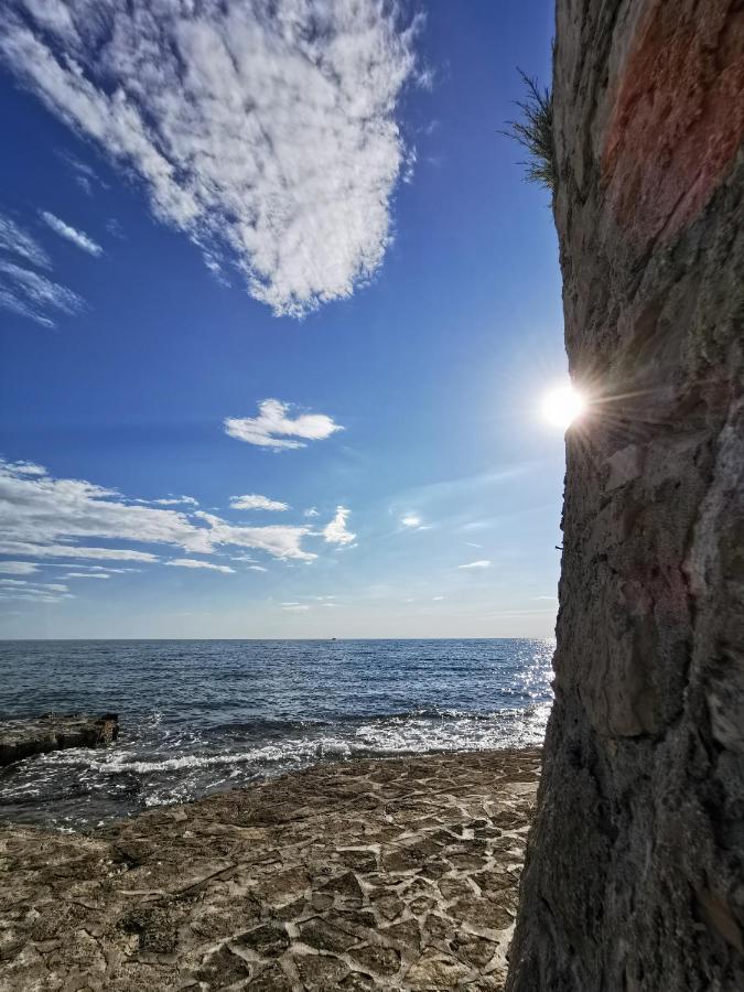 Novigrad Istria Ivan B&B, 5 Star Superior Room, Near The See And Park מראה חיצוני תמונה
